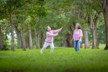 Obraz premium Two Elderly Women Exercising Outdoors in a Tree-Lined Park, Embracing Health and Friendship