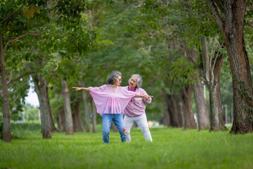 Obraz premium Two Elderly Women Exercising Outdoors in a Tree-Lined Park, Embracing Health and Friendship