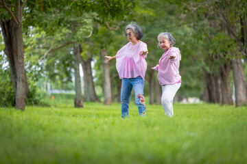 Fototapeta premium Two Elderly Women Exercising Outdoors in a Tree-Lined Park, Embracing Health and Friendship