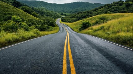 Obraz premium A curving road stretches into the distance through lush green hills under a cloudy sky, symbolizing a business journey or the path to success.