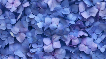 Fototapeta premium a densely packed seamless pattern of hydrangea petals completely covering the surface. extreme closeup of soft petals overlapping in various angles, creating a lush texture.