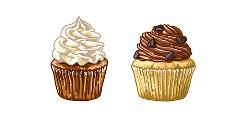 Cupcake  in Hand-drawn style set , Bakery sketch. Drawing of food elements. , cake bakery for design sticker, scrapbooking, card stationery, label and packaging Vector illustration