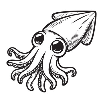 recommend clip art: Line art of splendid squid cartoon vector