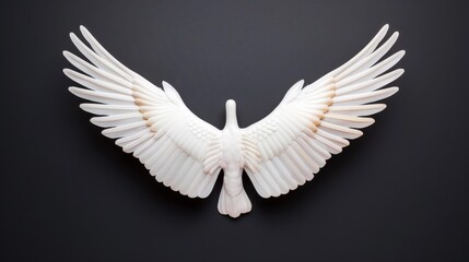 Obraz premium Stunning white angel wings stand out against a dark backdrop, capturing an ethereal yet powerful aesthetic.