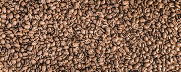 coffee beans, evenly distributed, uniform background, roasted coffee, brown grain,