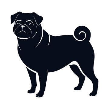 recommend clip art: Pug dog - isolated vector illustration
