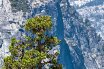 View of the Merced River Mountains from the Mist Trail in Yosemite National Park. Summer Vacation Travel in California, USA