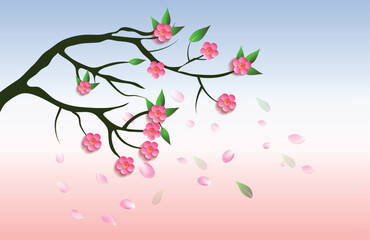 spring cherry flower background