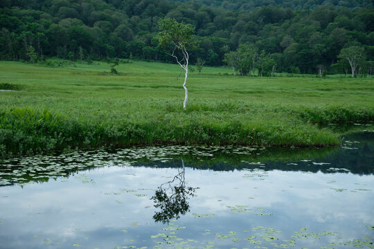 水に反射した幻想的な風景