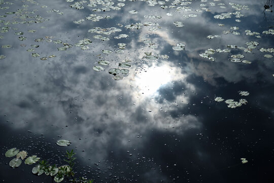 水に反射した幻想的な風景