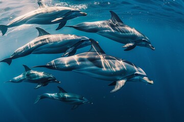 Obraz premium Group of dolphins performing jumps, creating a captivating and energetic oceanic display