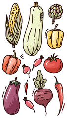 cute vector set of colorful vegetable