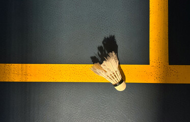  photo of shuttlecock to play badminton 