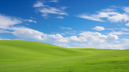A vast green grassy field with gentle hills under a bright blue sky. White clouds are scattered across the sky, enhancing the serene and peaceful atmosphere.