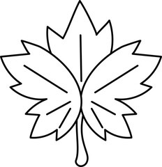 Maple Illustration