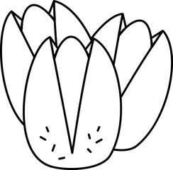 Pistachio Illustration
