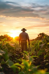 Fototapeta premium Farmer Walking with a Hoe in the Middle of a Field During a Beautiful Sunset