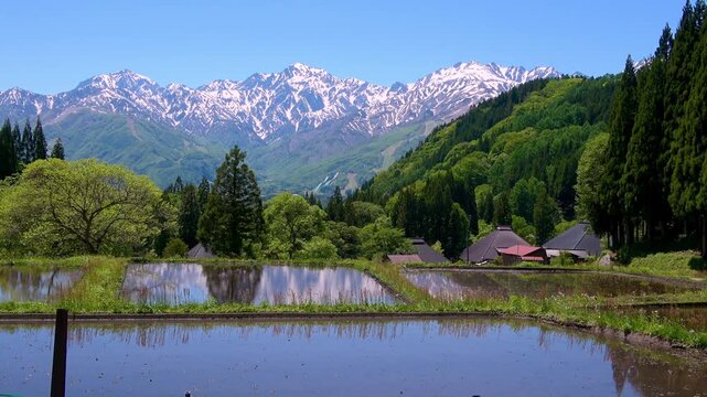 棚田・アルプス・鳥のさえずり・青鬼集落（長野県・白馬村）