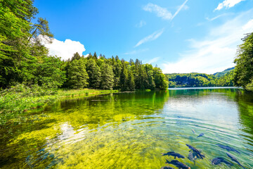 Landscape at Hechtsee near Kufstein. Clear mountain lake in Tyrol, Austria. Idyllic lake with the...