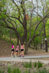 Fototapeta premium Latin Women Walking in Forested Park Area