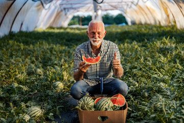 Portrait of senior farmer holding slice of watermelon and eating it while giving thumbs up.