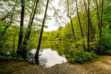 Hexenteich near Menden. Idyllic small pond with green nature in the Sauerland.
