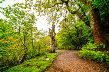 Hexenteich near Menden. Idyllic small pond with green nature in the Sauerland.
