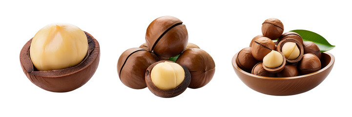 Fresh Macadamia Nuts in Shell and Shelled on Transparent Background - High-Quality Stock Photo for Culinary and Health Use