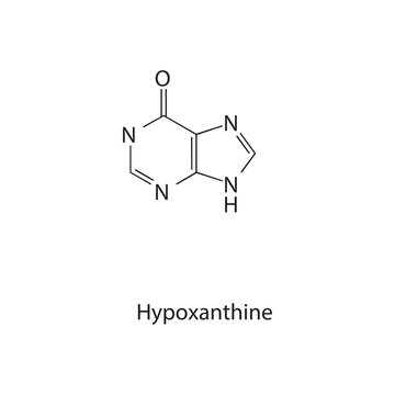 Hypoxanthine skeletal structure schematic illustration, nucleobase molecule.