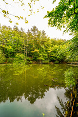Hexenteich near Menden. Idyllic small pond with green nature in the Sauerland.
