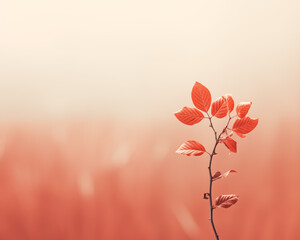 Autumn wallpaper background.