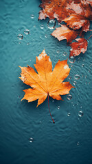 Autumn wallpaper background.