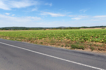 Country road to  Courances village in the French Gâtinais Regional Nature Park