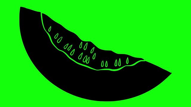 cantaloupe illustration video animation ripe tree juicy silhouette melon logo fruit icon cut tropical nature slice watermelon agriculture food outline sliced plant water for green screen footage