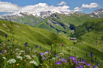 The Mont Blanc viewed from a hiking trail on a ridge leading to Roche Parstire, and located in the...