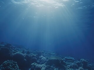 Coral Reef with Bright Sunlight