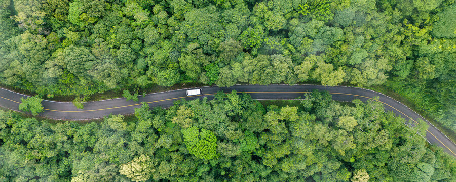 Aerial view of car in green forest. eco-friendly transport. Clean and greenhouse-free green transport concept in electric drive mode.