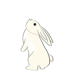 Illustration of white rabbit, for decoration, mid-autumn festival element, rabbit symbol, Chinese, Japanese, moon fest, 