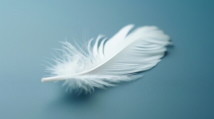 Fototapeta premium A single white feather lies on a light blue surface.