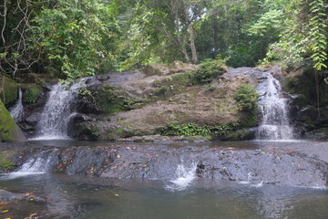 Palalang Waterscape in East Barito Forest