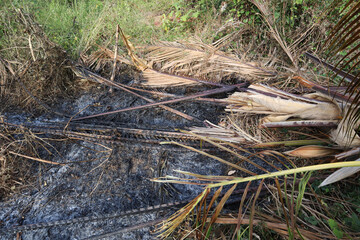 Destruction of trees stock image