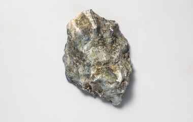 One oyster shell on grey background, macro shot of fresh french Fine de Claire oyster, close up. Gourmet food. Top view. Seafood. Macro shot © Subbotina Anna