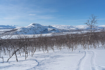 Obraz premium view from saana fell hiking route, kilpisjarvi, Finland
