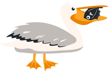 Pelican Bird Illustration