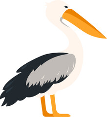 Pelican Bird Illustration
