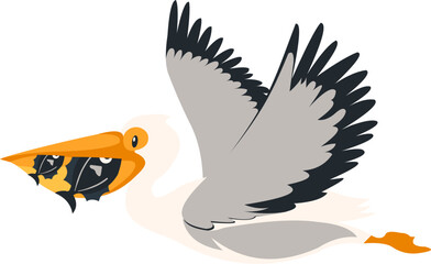 Pelican Bird Illustration