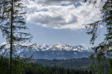 Polskie góry Tatry widok wyłaniający się zza drzew © Paweł Kacperek