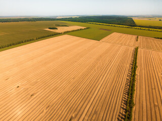 A stunning aerial view vividly reveals vast agricultural fields that showcase intricate patterns of...