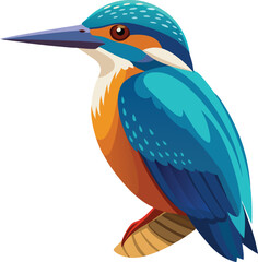 Kingfisher Colorful vector 