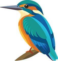 Kingfisher Colorful vector 